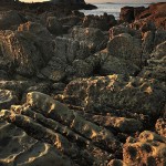 David_Still_Fine_Art_Photography-New_Zealand-4124 David_Still_Fine_Art_Photography-New_Zealand-4124