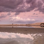 David_Still_Fine_Art_Photography-New_Zealand-4233 David_Still_Fine_Art_Photography-New_Zealand-4233