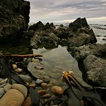 David_Still_Fine_Art_Photography-New_Zealand-East_Coast-0838 David_Still_Fine_Art_Photography-New_Zealand-East_Coast-0838