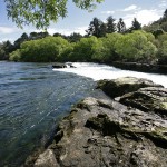 David_Still_Fine_Art_Photography-New_Zealand-Falls_River-0158 David_Still_Fine_Art_Photography-New_Zealand-Falls_River-0158