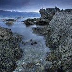 David_Still_Fine_Art_Photography-New_Zealand-Kaikoura-0731 David_Still_Fine_Art_Photography-New_Zealand-Kaikoura-0731
