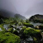 David_Still_Fine_Art_Photography-New_Zealand-Milford-9344 David_Still_Fine_Art_Photography-New_Zealand-Milford-9344