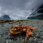 David_Still_Fine_Art_Photography-New_Zealand-Milford_Sound-9607 David_Still_Fine_Art_Photography-New_Zealand-Milford_Sound-9607