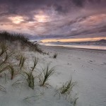 David_Still_Fine_Art_Photography-New_Zealand_Mangawhai_Ocean_Beach-4397 David_Still_Fine_Art_Photography-New_Zealand_Mangawhai_Ocean_Beach-4397