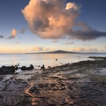 David_Still_Fine_Art_Photography-New_Zealand_NZ Hauraki Gulf-3649 David_Still_Fine_Art_Photography-New_Zealand_NZ Hauraki Gulf-3649