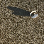 David_Still_Fine_Art_Photography-Shell-3756 David_Still_Fine_Art_Photography-Shell-3756