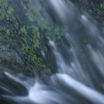 David_Still_Fine_Art_Photography-UK-1114 David_Still_Fine_Art_Photography-UK-1114