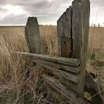 David_Still_Fine_Art_Photography-UK-1163 David_Still_Fine_Art_Photography-UK-1163