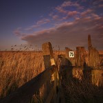 David_Still_Fine_Art_Photography-UK-1219 David_Still_Fine_Art_Photography-UK-1219