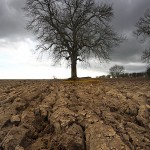 David_Still_Fine_Art_Photography-UK-1702 David_Still_Fine_Art_Photography-UK-1702