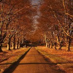 David_Still_Fine_Art_Photography-UK-6010 David_Still_Fine_Art_Photography-UK-6010