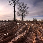 David_Still_Fine_Art_Photography-UK-6317 David_Still_Fine_Art_Photography-UK-6317