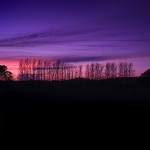 David_Still_Fine_Art_Photography-UK-6410 David_Still_Fine_Art_Photography-UK-6410