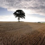 David_Still_Fine_Art_Photography-UK-9053 David_Still_Fine_Art_Photography-UK-9053