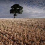 David_Still_Fine_Art_Photography-UK-9130 David_Still_Fine_Art_Photography-UK-9130