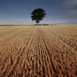 David_Still_Fine_Art_Photography-UK-9164 David_Still_Fine_Art_Photography-UK-9164