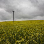 David_Still_Fine_Art_Photography-UK-9848 David_Still_Fine_Art_Photography-UK-9848