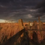 David_Still_Fine_Art_Photography-UK-Norfolk-1193 David_Still_Fine_Art_Photography-UK-Norfolk-1193