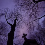 David_Still_Fine_Art_Photography-Paris-4793Purple David_Still_Fine_Art_Photography-Paris-4793Purple